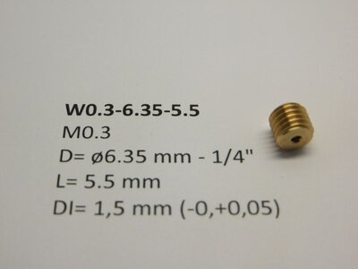 micromotor W0.3-6.35-5.5 wormwiel